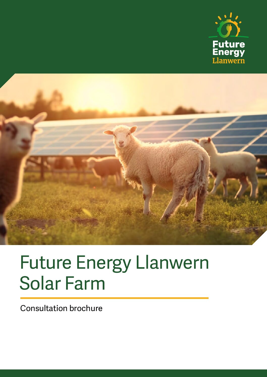 Latest FEL Consultation brochure_english