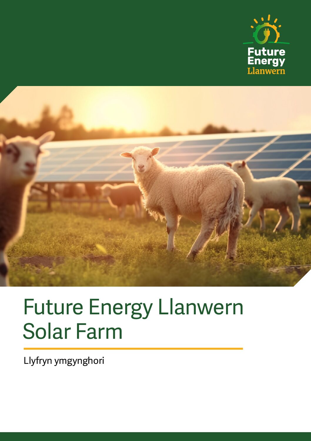 Original FEL Consultation brochure_cymraeg